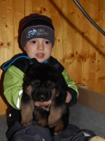 /album/a20-days/stence-e-vrh-080-jpg/